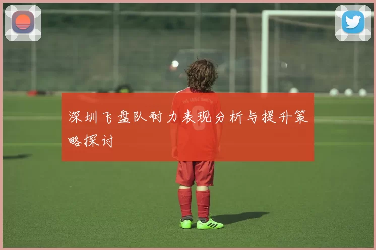 深圳飞盘队耐力表现分析与提升策略探讨