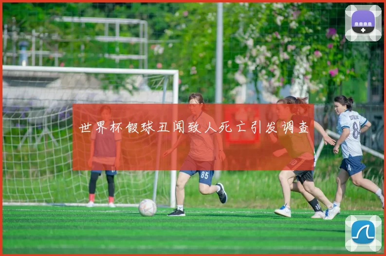 世界杯假球丑闻致人死亡引发调查
