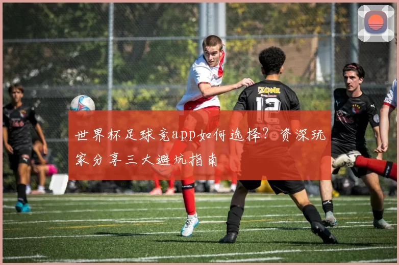 世界杯足球竞app如何选择?资深玩家分享三大避坑指南