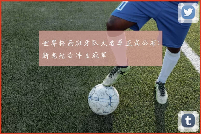 世界杯西班牙队大名单正式公布：新老结合冲击冠军