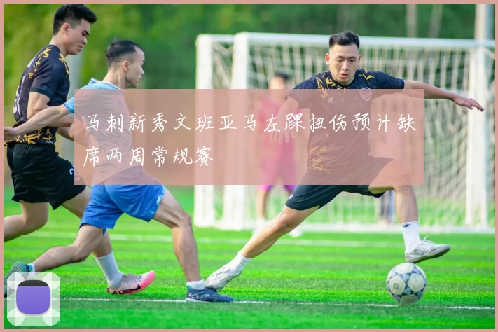 马刺新秀文班亚马左踝扭伤预计缺席两周常规赛