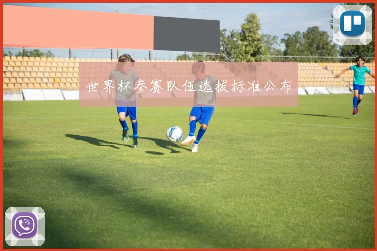 世界杯参赛队伍选拔标准公布