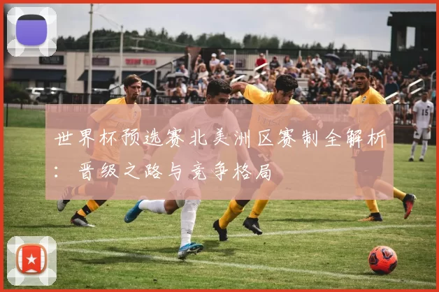 世界杯预选赛北美洲区赛制全解析:晋级之路与竞争格局