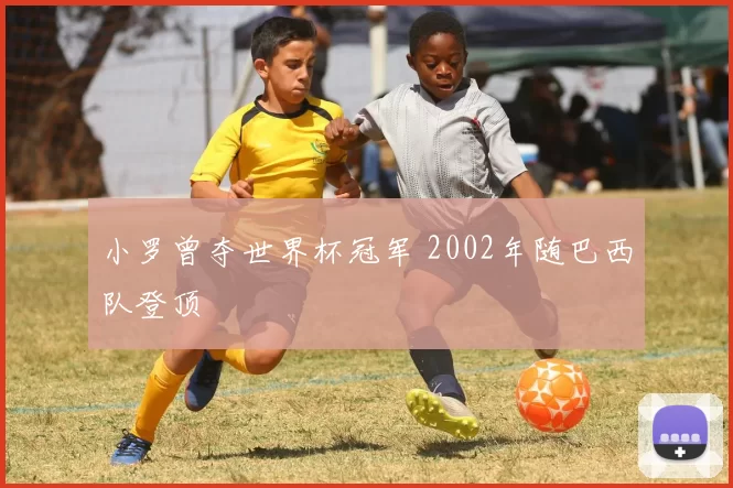 小罗曾夺世界杯冠军 2002年随巴西队登顶