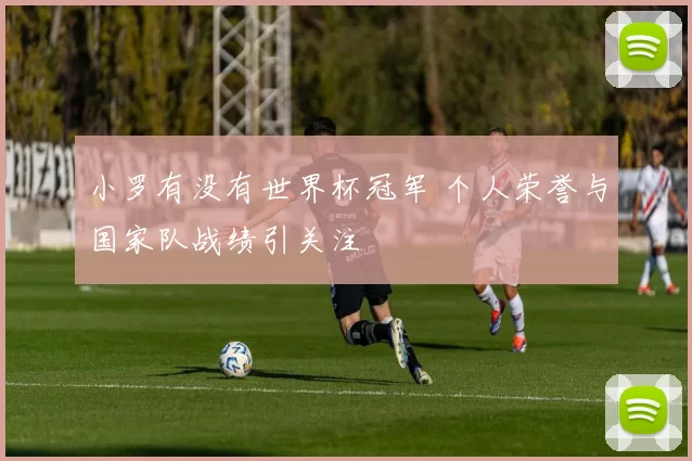 小罗有没有世界杯冠军 个人荣誉与国家队战绩引关注