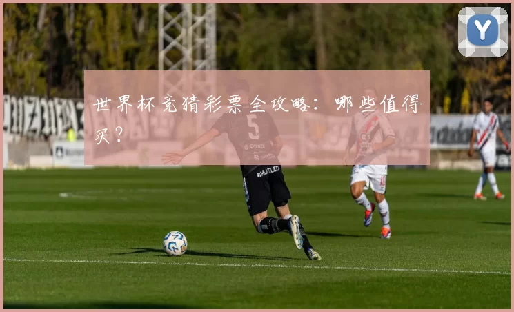 世界杯竞猜彩票全攻略：哪些值得买？