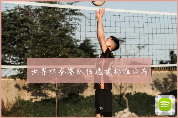 世界杯参赛队伍选拔标准公布