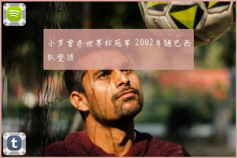 小罗曾夺世界杯冠军 2002年随巴西队登顶