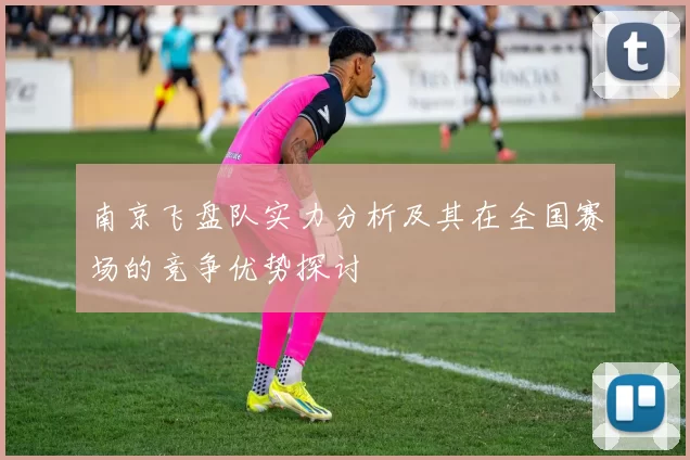 南京飞盘队实力分析及其在全国赛场的竞争优势探讨