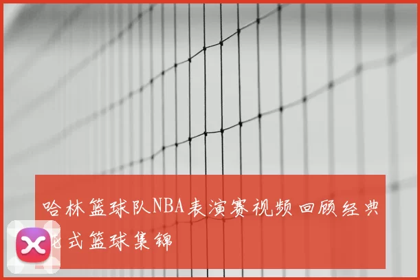 哈林篮球队NBA表演赛视频回顾经典花式篮球集锦