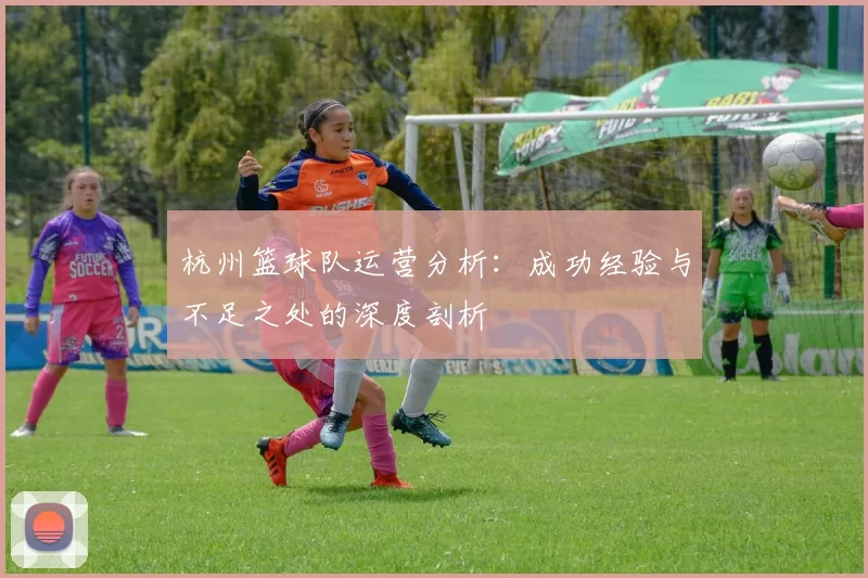 杭州篮球队运营分析:成功经验与不足之处的深度剖析