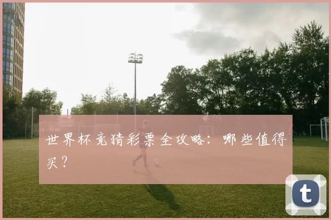 世界杯竞猜彩票全攻略：哪些值得买？