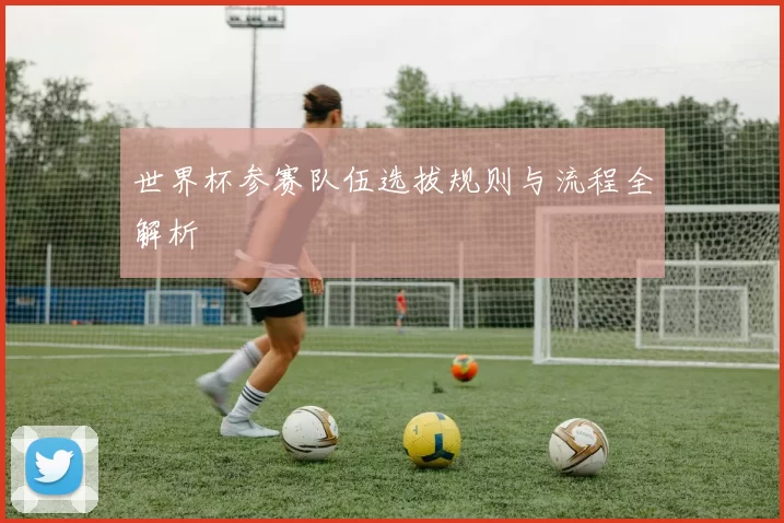 世界杯参赛队伍选拔规则与流程全解析