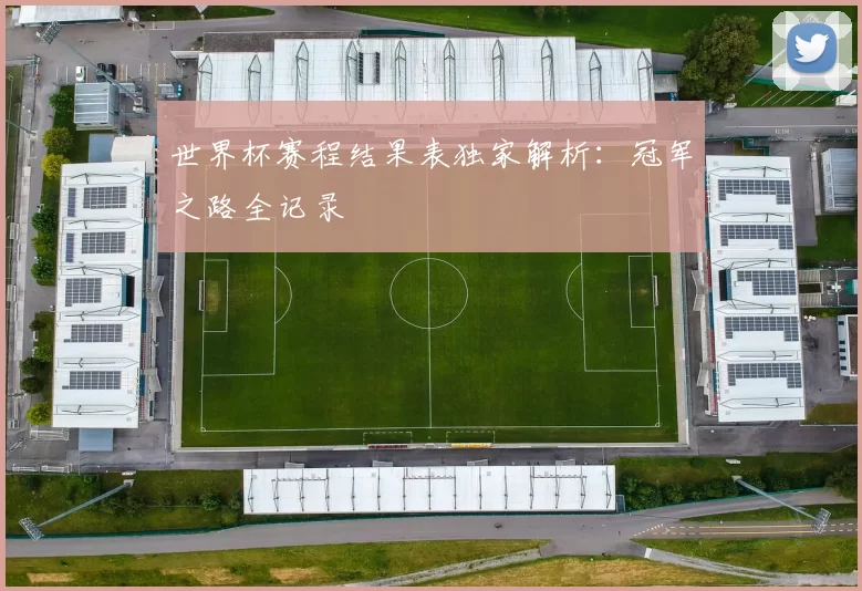 世界杯赛程结果表独家解析：冠军之路全记录