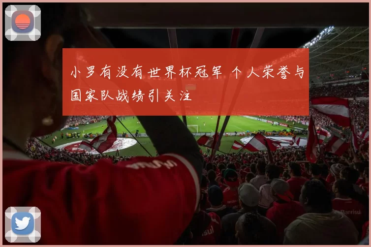 小罗有没有世界杯冠军 个人荣誉与国家队战绩引关注