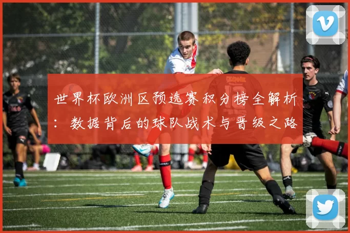 世界杯欧洲区预选赛积分榜全解析：数据背后的球队战术与晋级之路